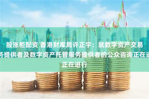股涨柜配资 香港财库局许正宇：就数字资产交易服务提供者及数字资产托管服务提供者的公众咨询正在进行