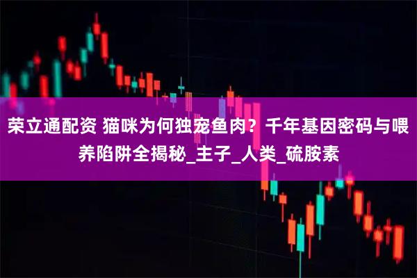荣立通配资 猫咪为何独宠鱼肉？千年基因密码与喂养陷阱全揭秘_主子_人类_硫胺素