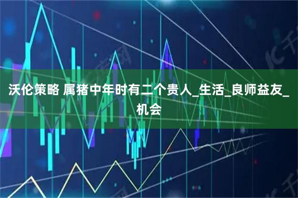 沃伦策略 属猪中年时有二个贵人_生活_良师益友_机会