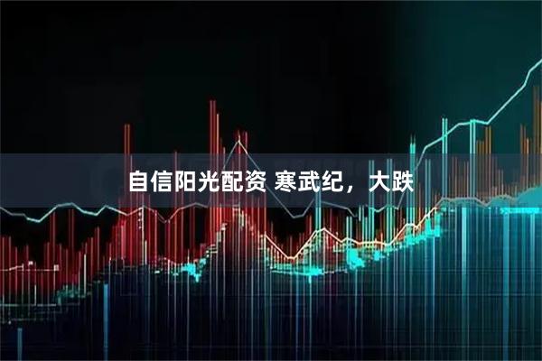 自信阳光配资 寒武纪，大跌