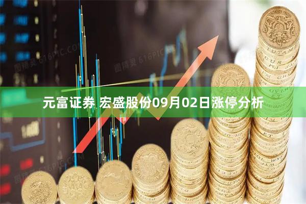 元富证券 宏盛股份09月02日涨停分析