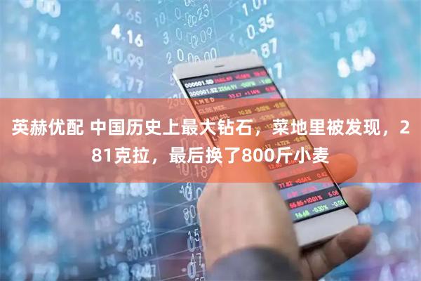 英赫优配 中国历史上最大钻石，菜地里被发现，281克拉，最后换了800斤小麦