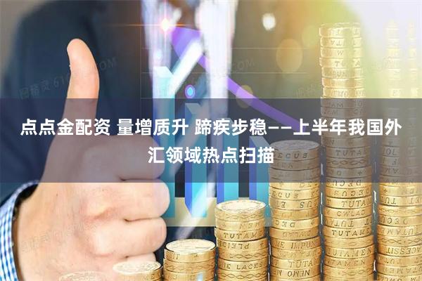 点点金配资 量增质升 蹄疾步稳——上半年我国外汇领域热点扫描